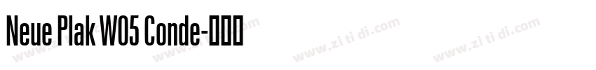 Neue Plak W05 Conde字体转换